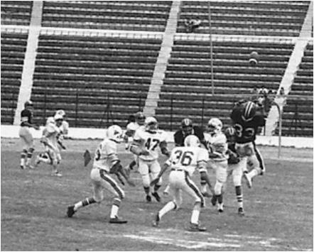 Photo 1979006